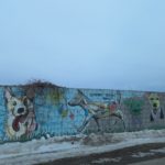 „Pomagamy bezdomnym zwierzętom przetrwać srogą zimę”- wolontariusze w kolejnej akcji!