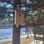 Z sercem dla ptaków