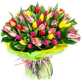 bukiet tulipanów