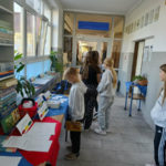 Obchody Światowego Dnia Książki w bibliotece szkolnej