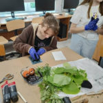 Ósmoklasiści SP 4 w Zespole Szkół w Wojewodzinie – inspirująca wizyta i plany na przyszłość!