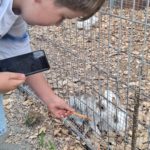 Wycieczka klas II a i II b do Podlaskiej Toskanii