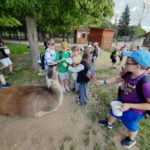 Wycieczka klas II a i II b do Podlaskiej Toskanii