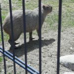Wycieczka klas II a i II b do Podlaskiej Toskanii