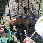 Wycieczka klas II a i II b do Podlaskiej Toskanii