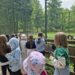 Wycieczka klas III a i III b do Białowieży.