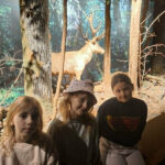Wycieczka klas III a i III b do Białowieży.