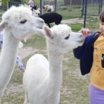 Wycieczka klas II a i II b do Podlaskiej Toskanii