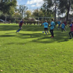 Turnieje piłkarskie w ramach programu „Z Orlika na Stadion” w kategoriach U-13 oraz U-14