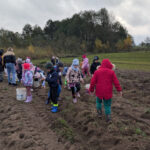 Ziemniaczany zawrót głowy w Zakątku Ewy