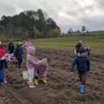 Ziemniaczany zawrót głowy w Zakątku Ewy