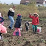 Ziemniaczany zawrót głowy w Zakątku Ewy